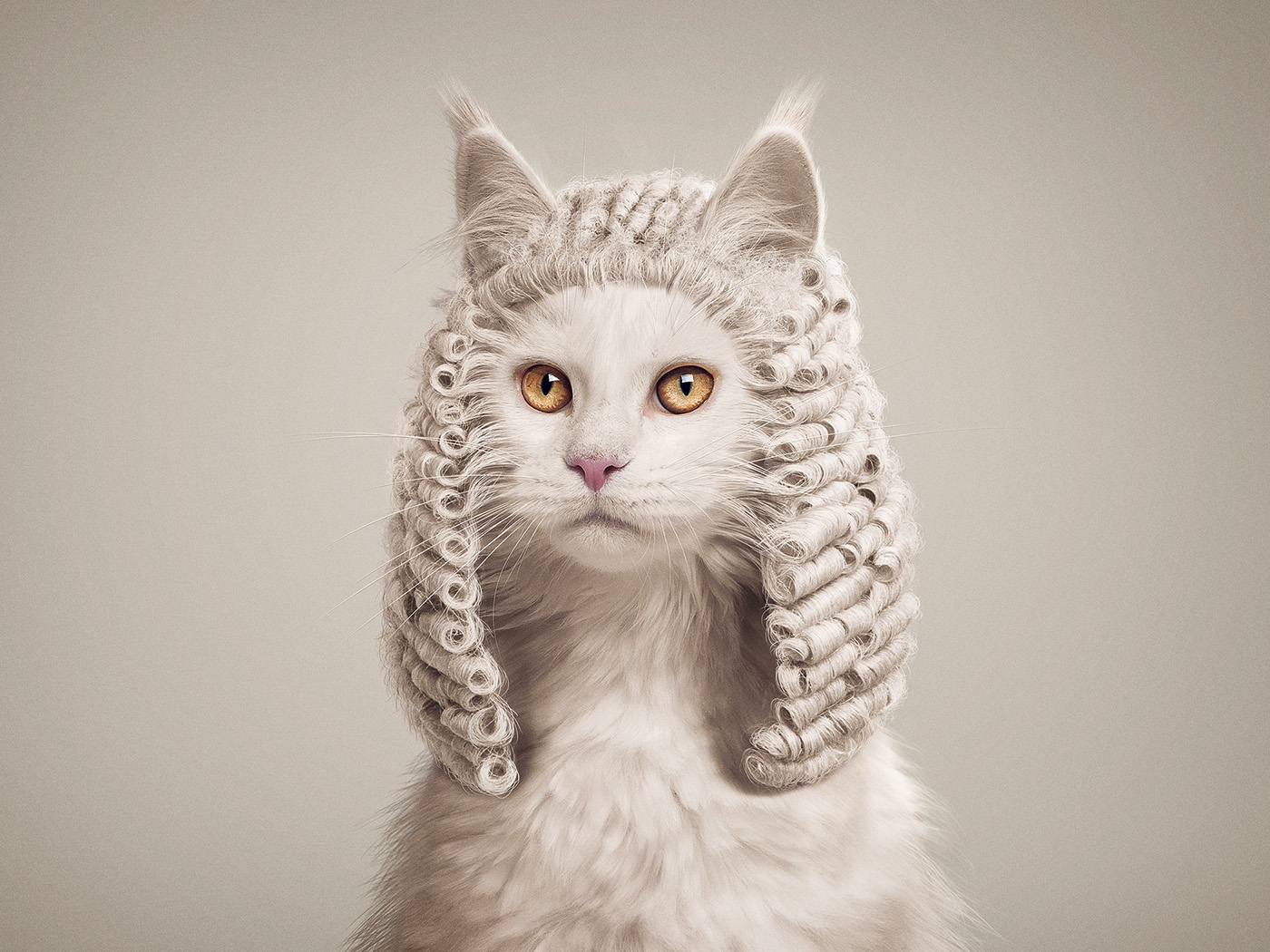 Visual design，Animal rights，Photography，