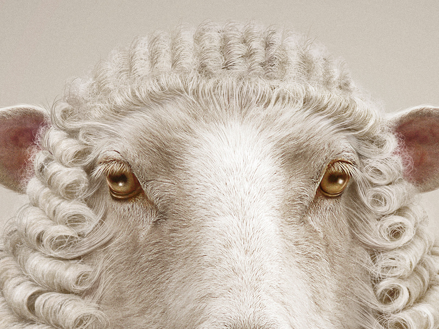 Visual design，Animal rights，Photography，