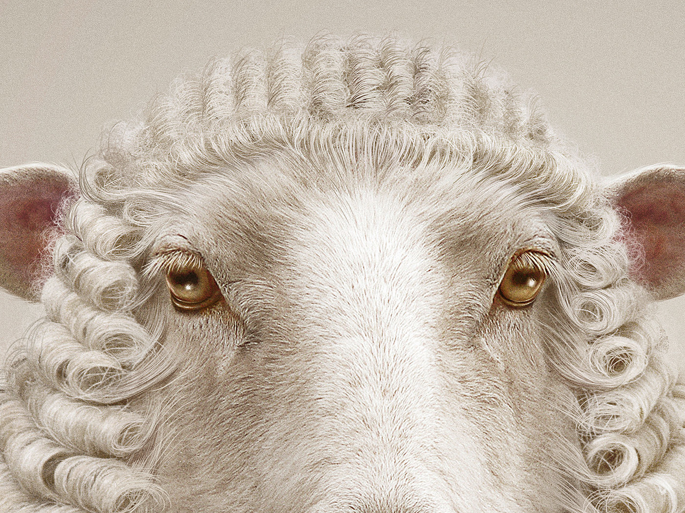 Visual design，Animal rights，Photography，