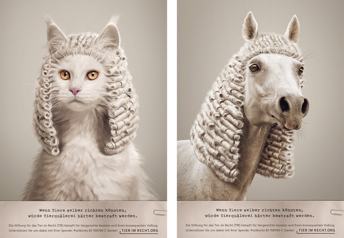 Visual design，Animal rights，Photography，