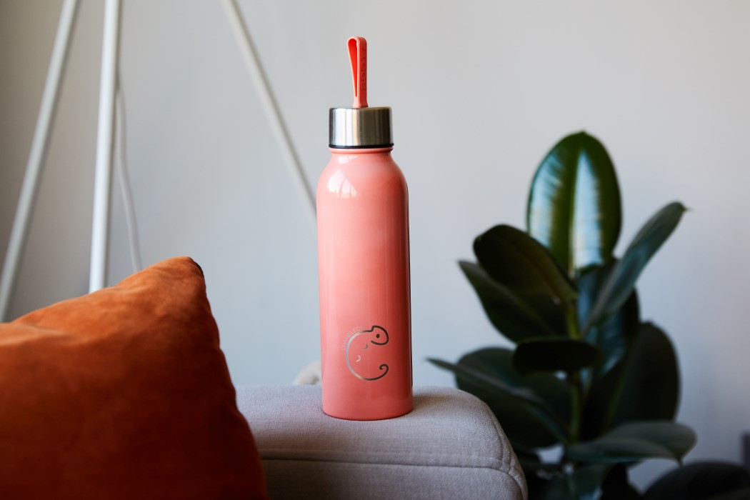 Chameleon，Water cup，temperature，Discoloration，