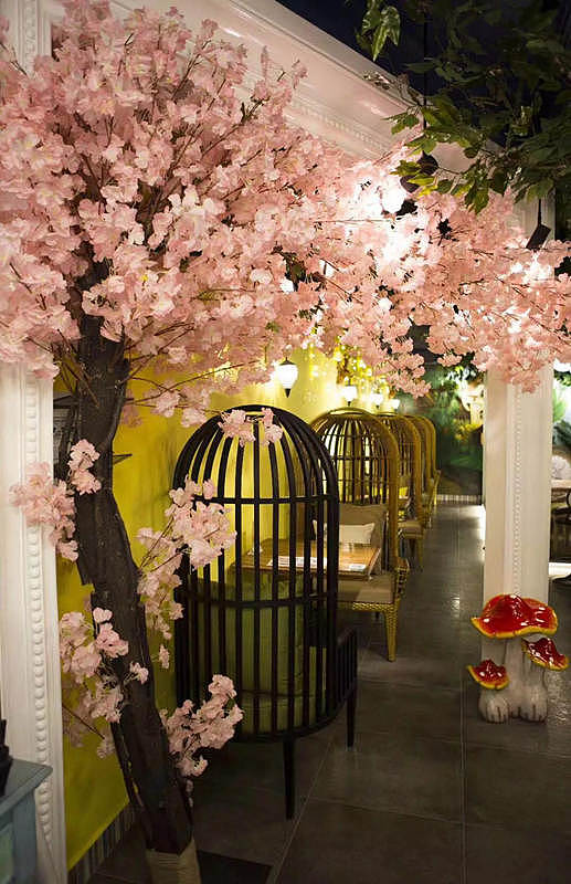 Home stay design，
