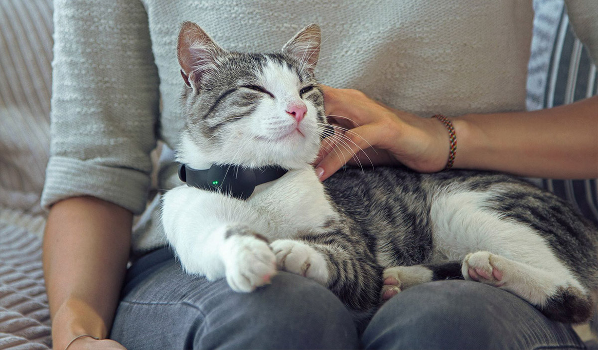 industrial design，Pet Supplies & Pet，GPS locator，electronic product，