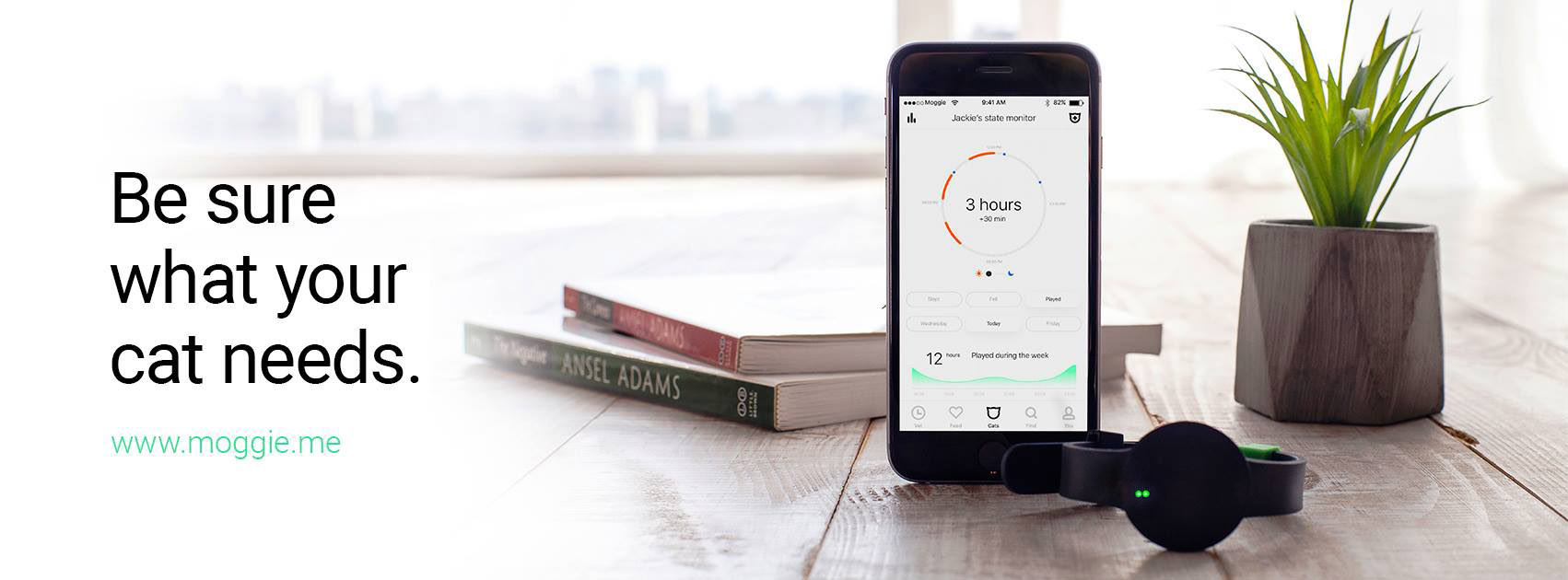 industrial design，Pet Supplies & Pet，GPS locator，electronic product，