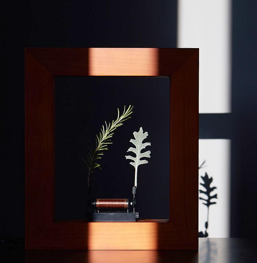 Photo frame，green leaf，music，ornaments，