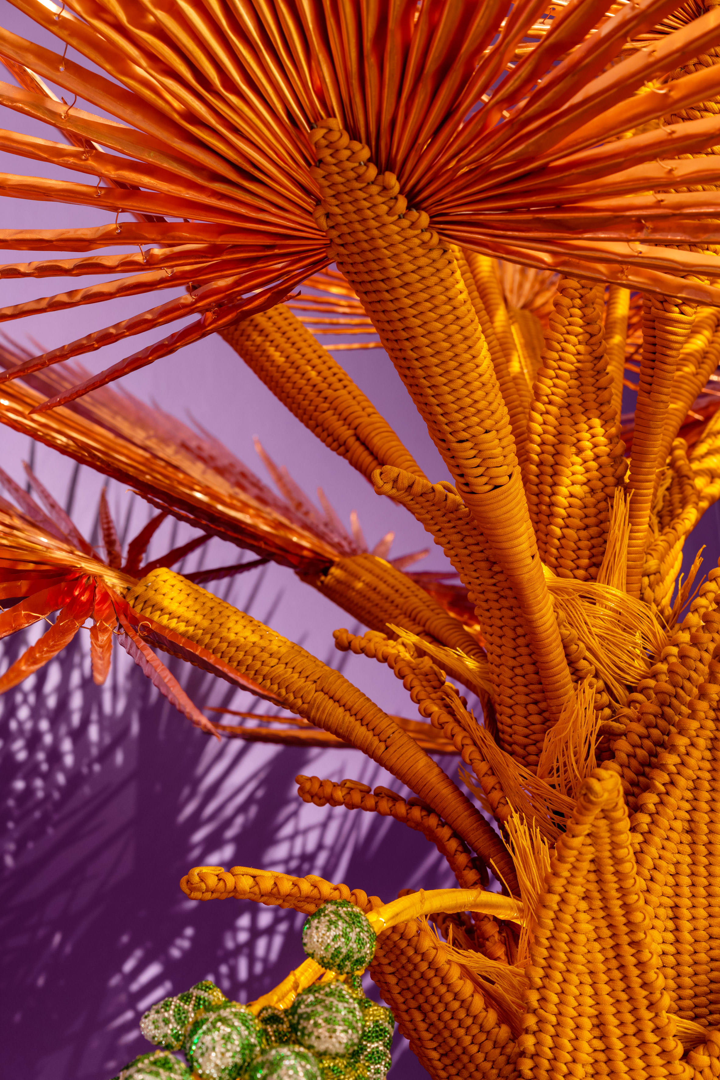 Haas Brothers，Animals and plants，colour，exhibition，