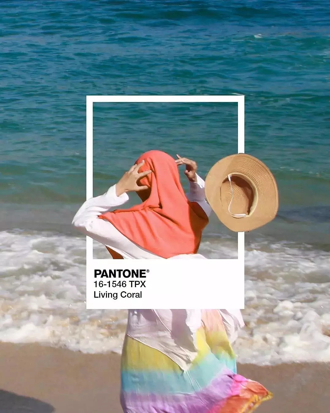 Pantone，Coral Orange，Ricardo，carolina，BrownTrout，