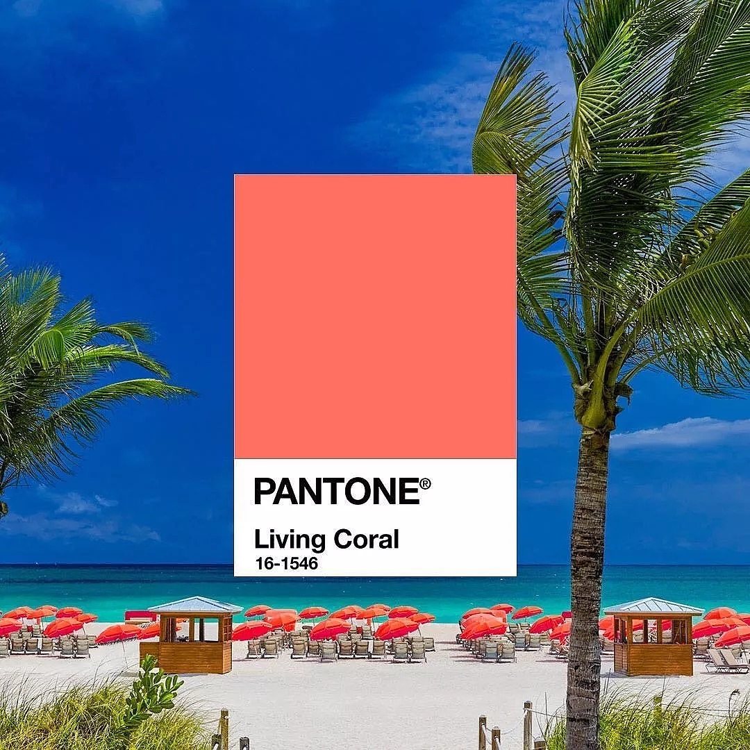 Pantone，Coral Orange，Ricardo，carolina，BrownTrout，