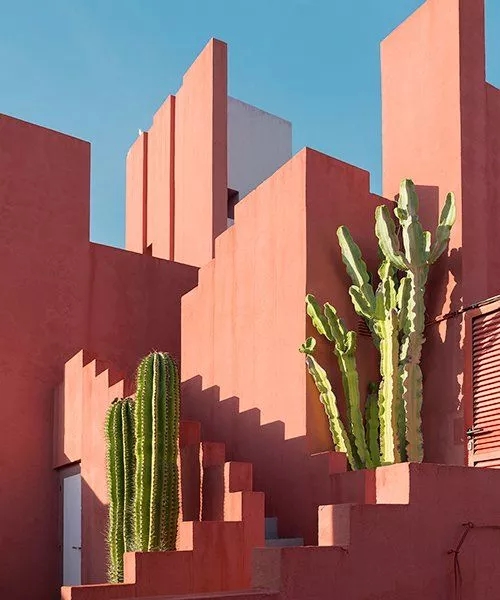 Pantone，Coral Orange，Ricardo，carolina，BrownTrout，