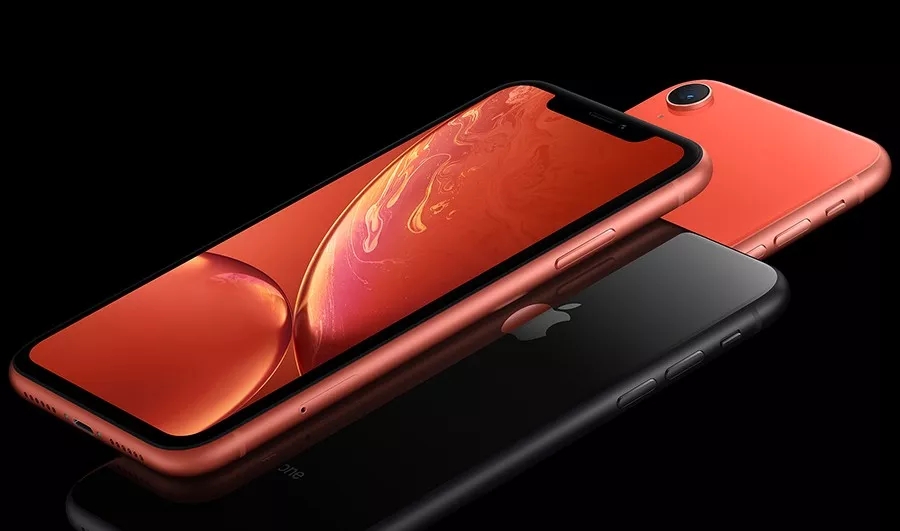 Pantone，Coral Orange，Ricardo，carolina，BrownTrout，