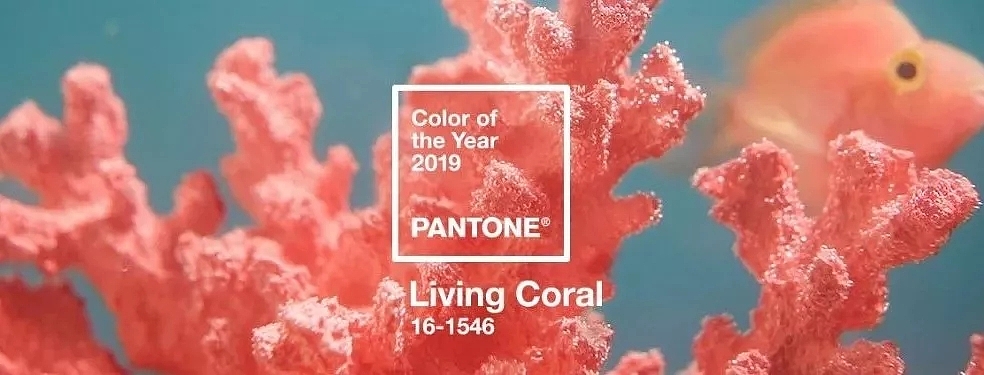 Pantone，Coral Orange，Ricardo，carolina，BrownTrout，