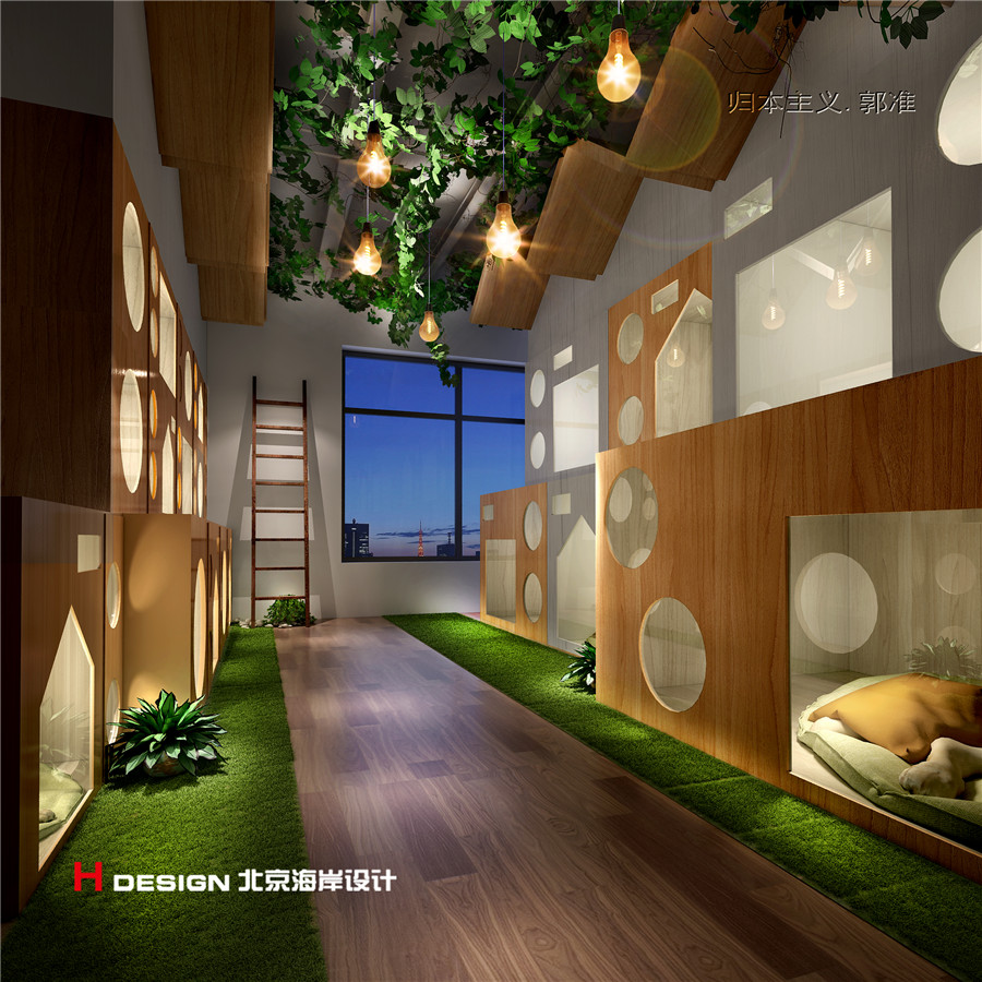 Pet shop design，