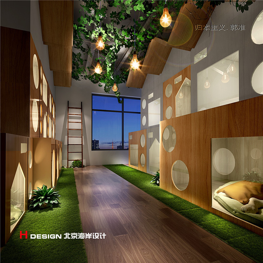 Pet shop design，