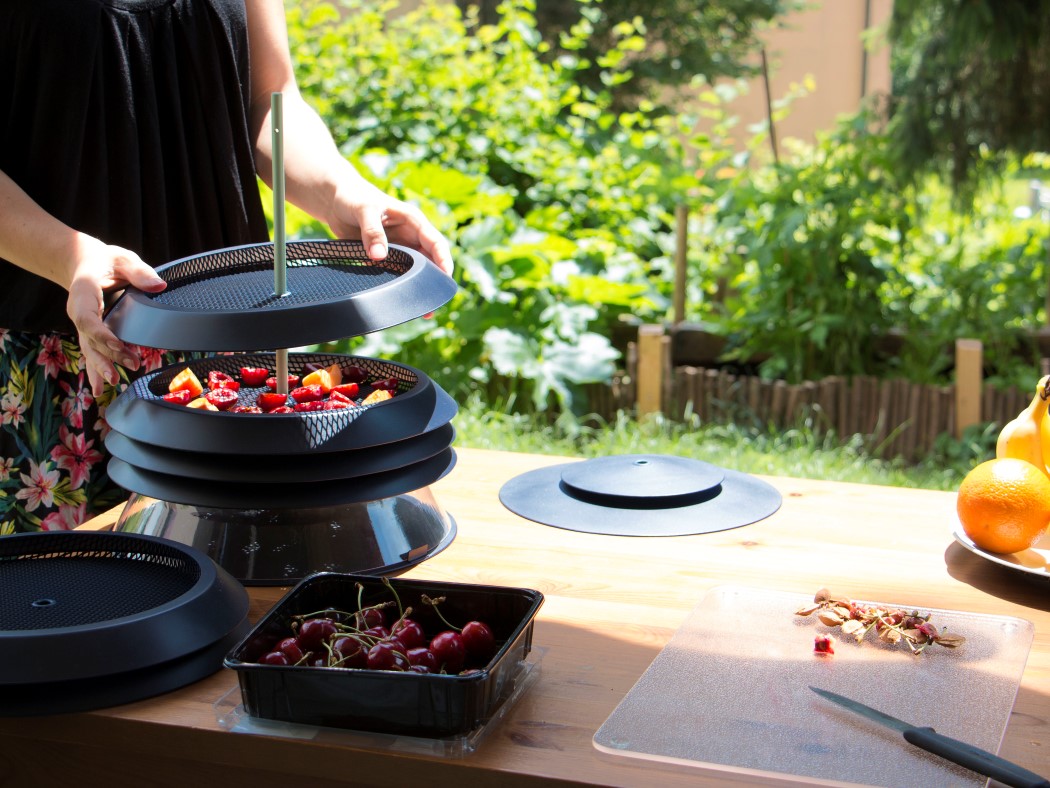 healthy，facilitate，Aliz，decorate，