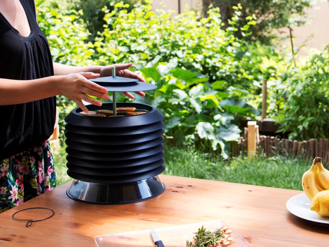 healthy，facilitate，Aliz，decorate，