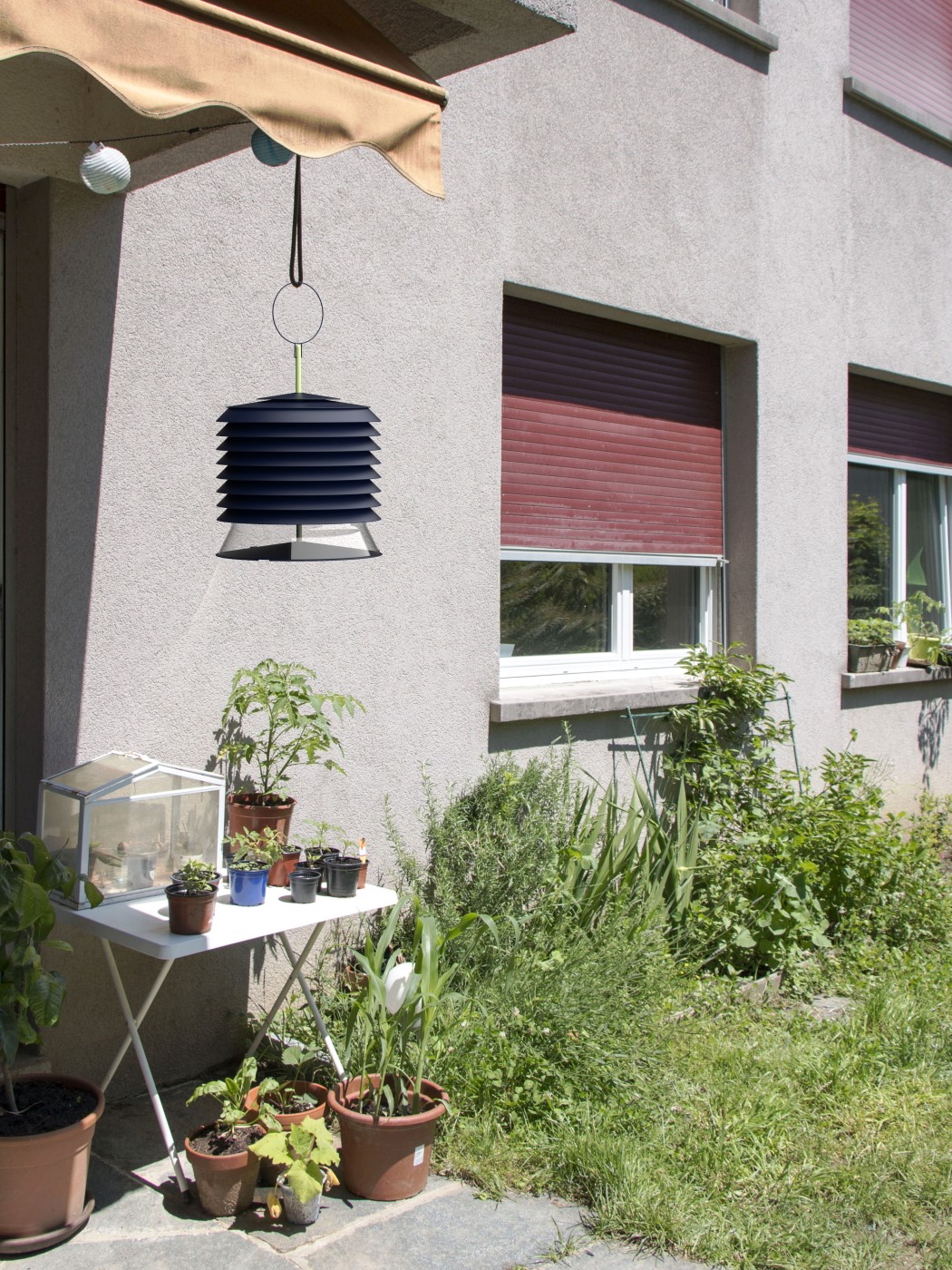 healthy，facilitate，Aliz，decorate，