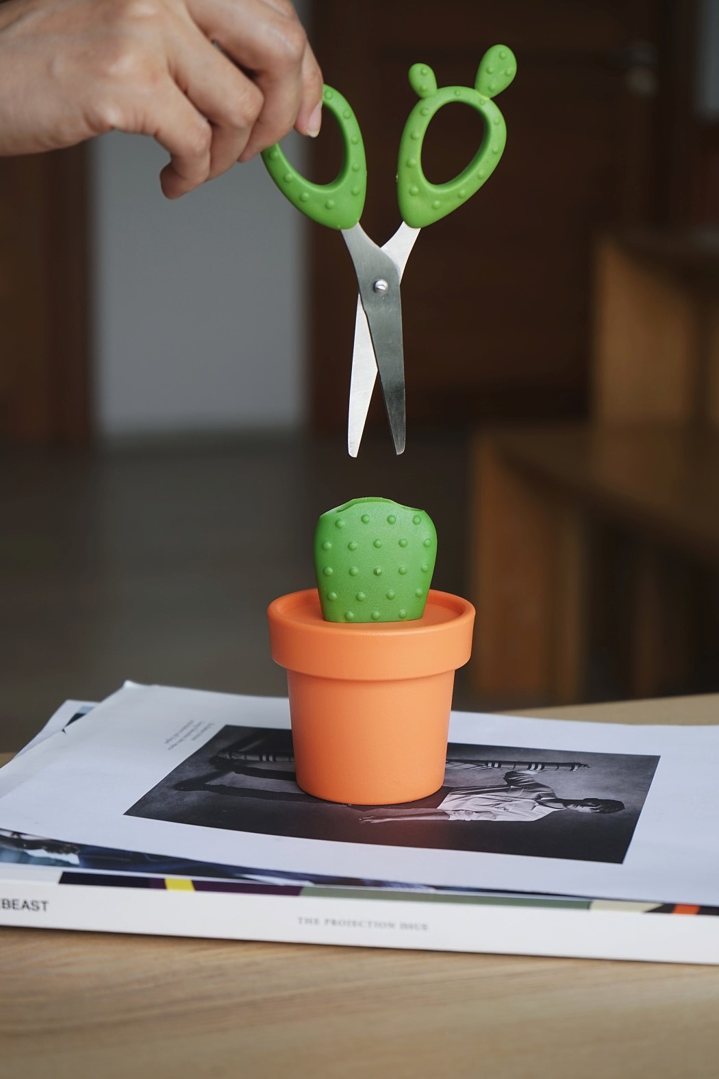 Qualy Design，Stationery，to work in an office，Quali，cactus，scissors，green，