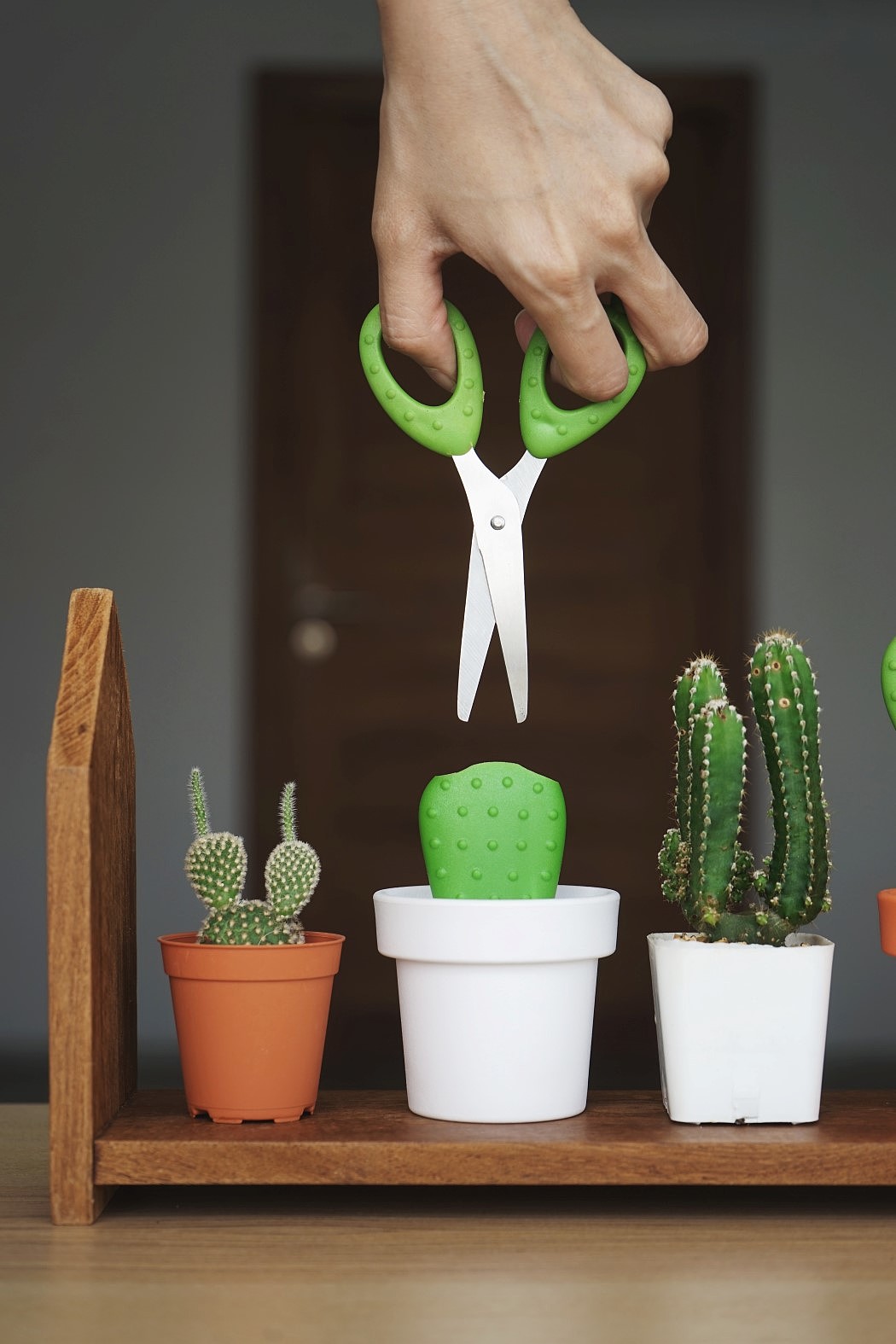 Qualy Design，Stationery，to work in an office，Quali，cactus，scissors，green，