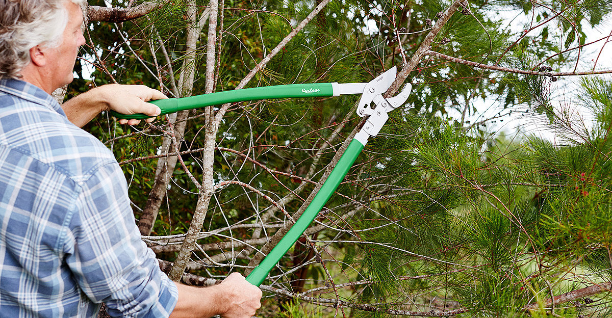gardening，tool，scissors，Tool scissors，Environmental Art，