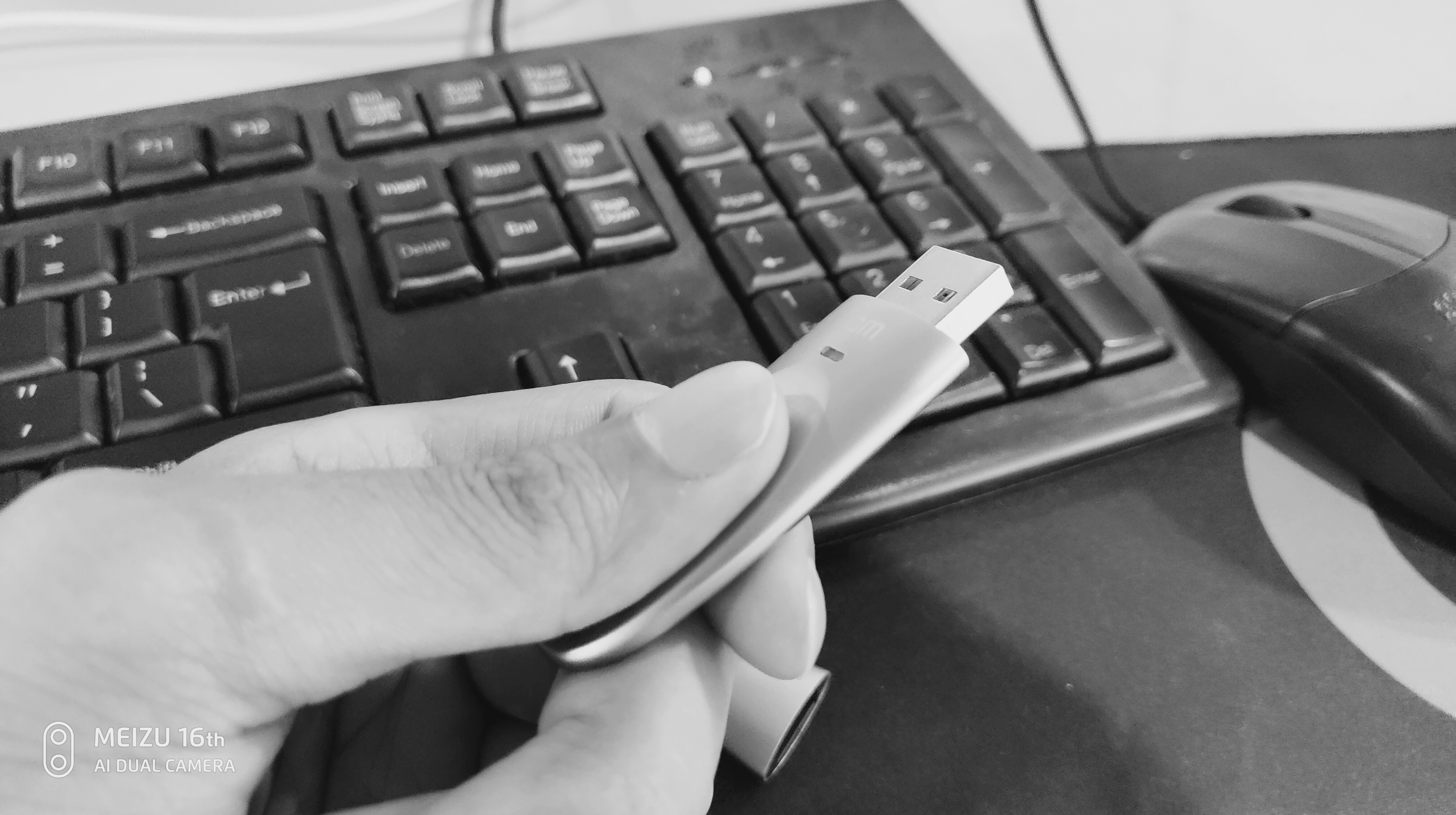 USB drive，fingerprint identification，