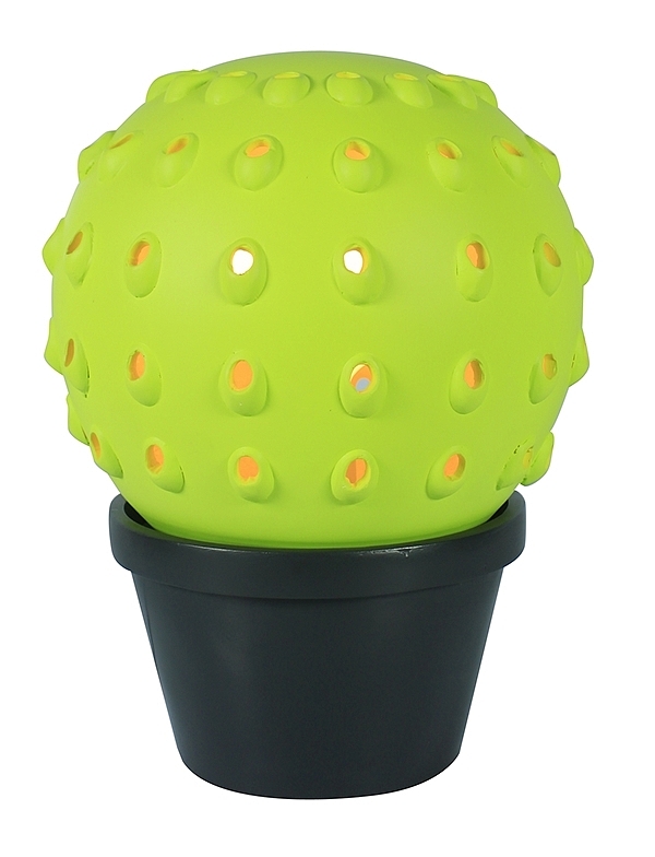 industrial design，product design，to work in an office，Green plants，