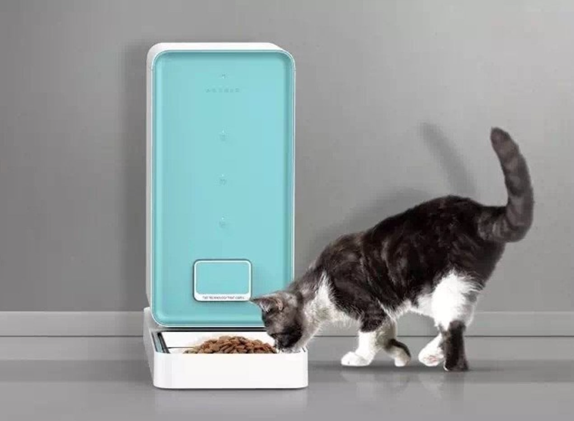 Petkit Fresh，feed，intelligence，Pets，