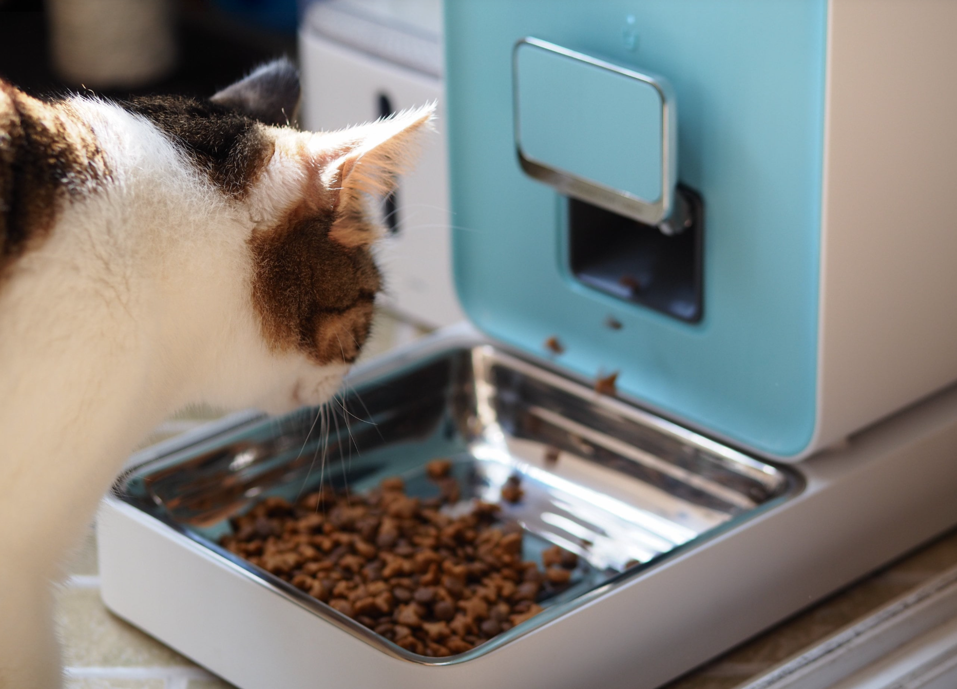 Petkit Fresh，feed，intelligence，Pets，