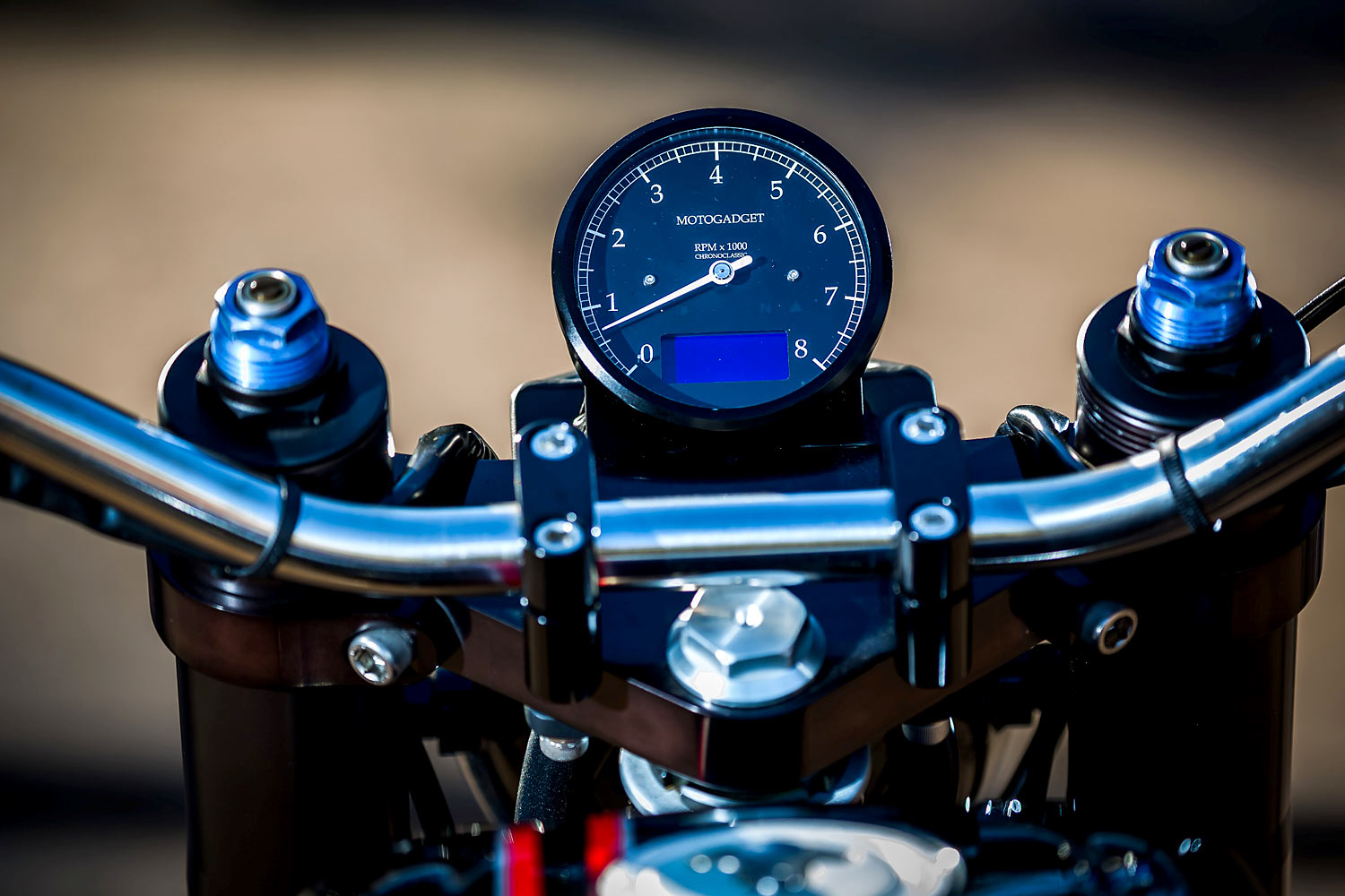 MULE VARIATIONS，eight hundred and eighty-three，Halley，