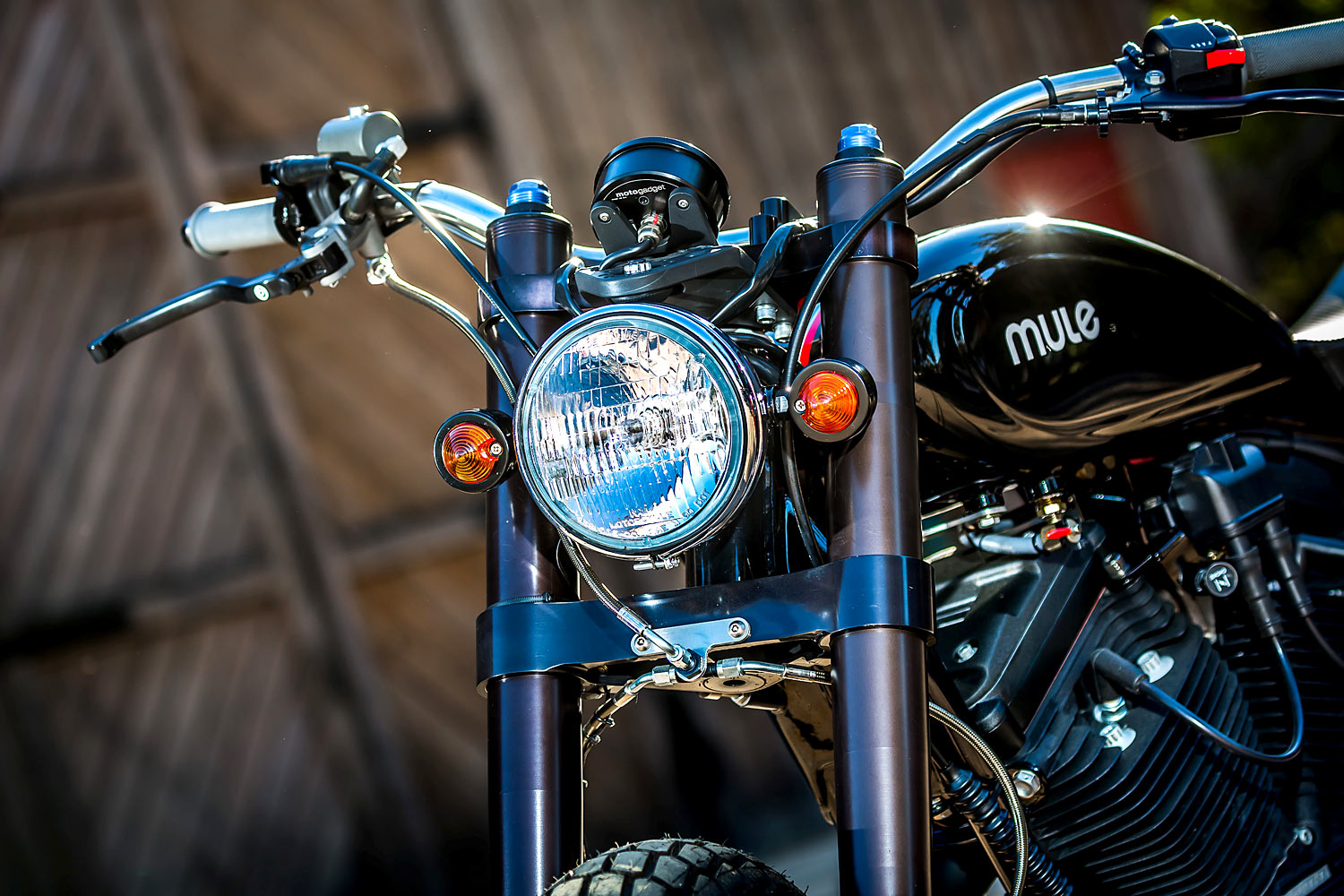 MULE VARIATIONS，eight hundred and eighty-three，Halley，