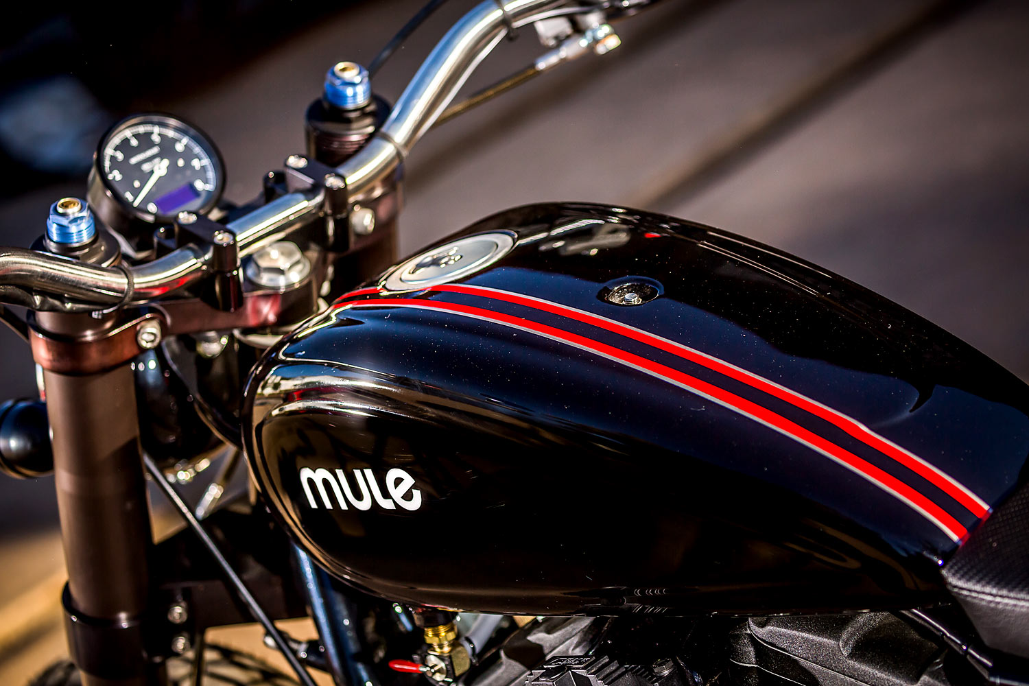 MULE VARIATIONS，eight hundred and eighty-three，Halley，