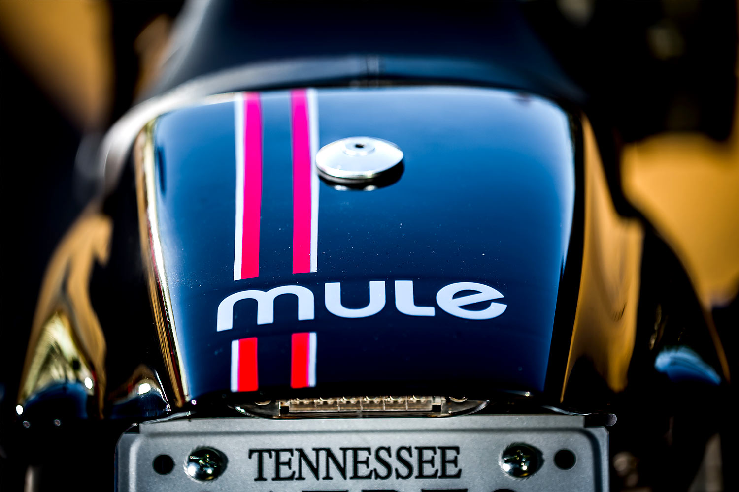 MULE VARIATIONS，eight hundred and eighty-three，Halley，