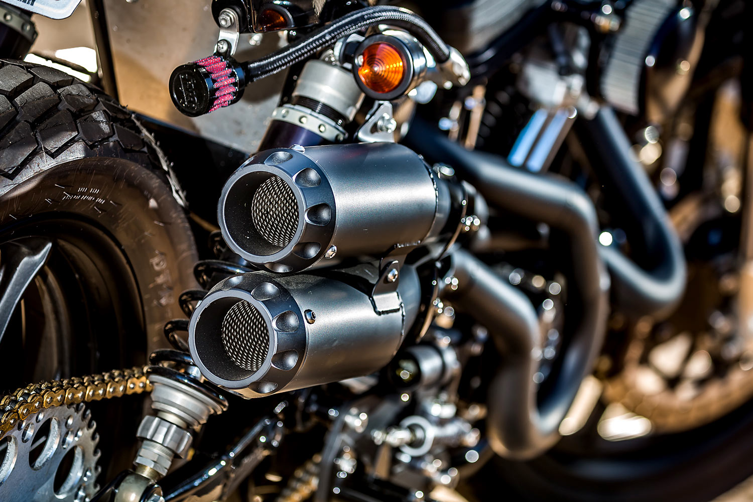 MULE VARIATIONS，eight hundred and eighty-three，Halley，