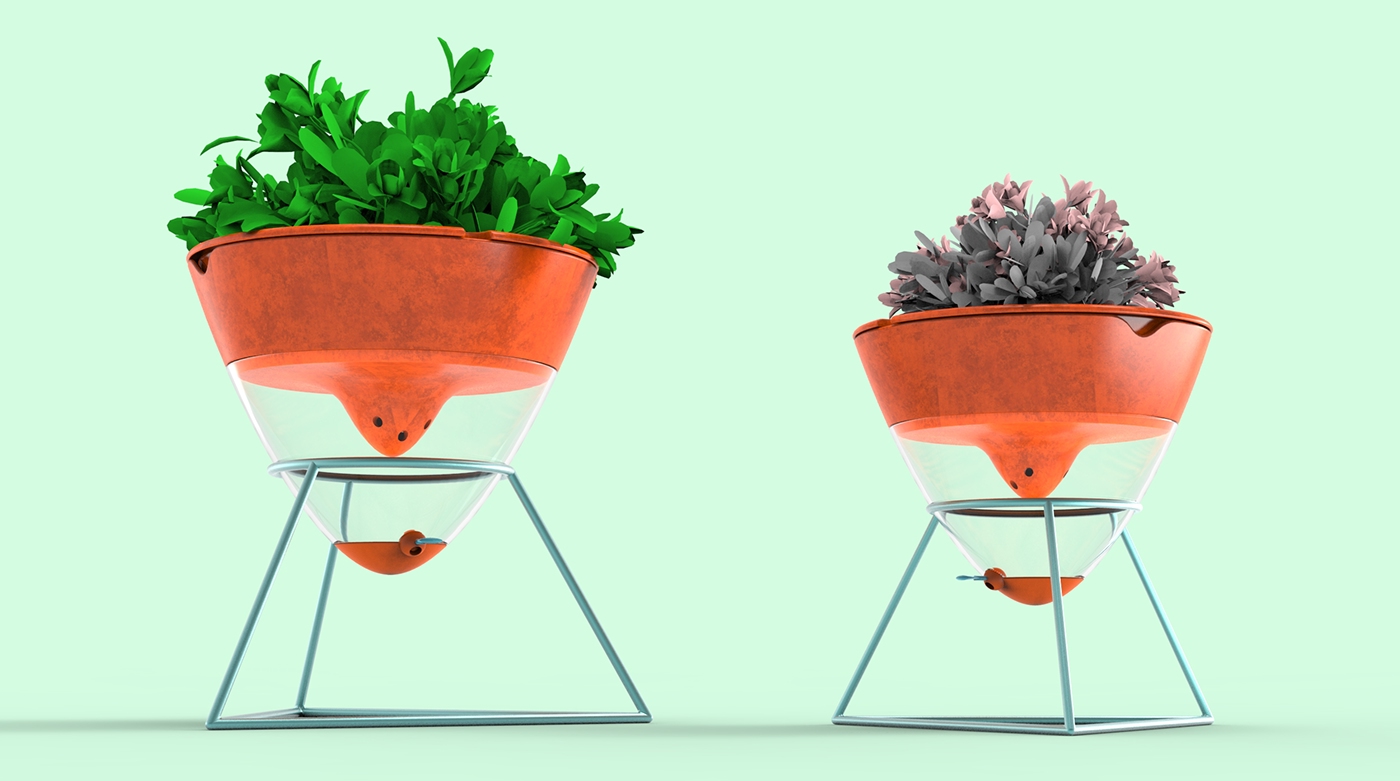 Botany，intelligence，filter，Water filter，Root，