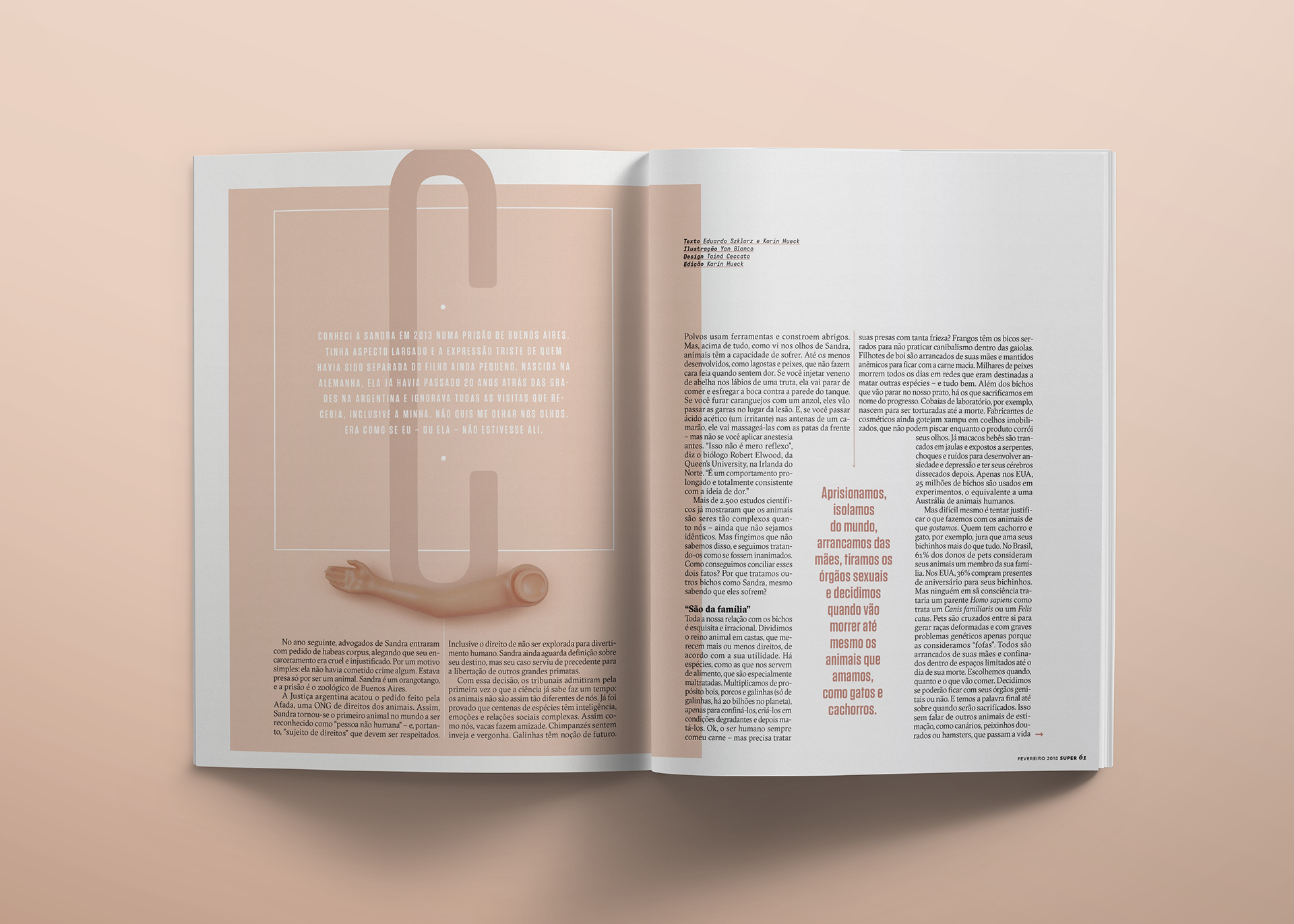 Toys，image，natural，conceptual design，