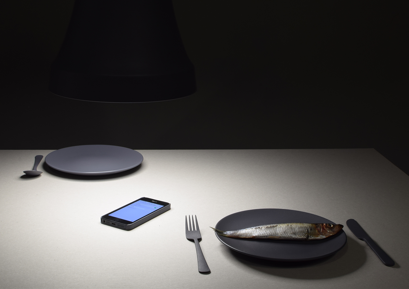 household electrical appliances，speaker，lamps and lanterns，