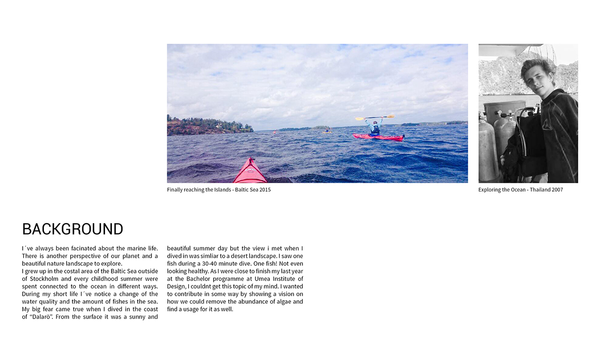 Remote control，UAV，Vision 2030，Algae Harvester，