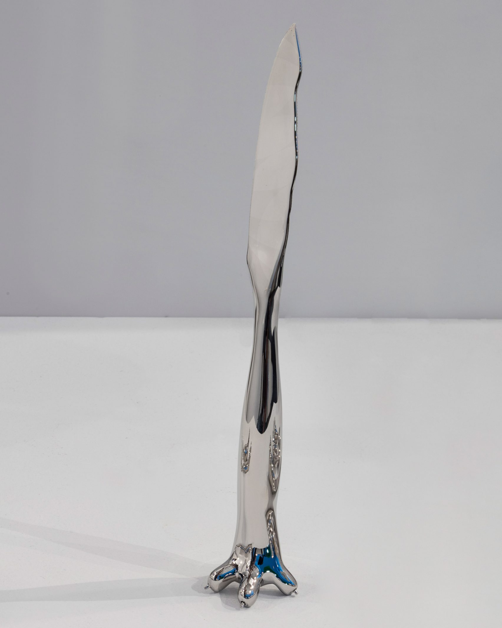 animal，silver，tableware，kitchen，