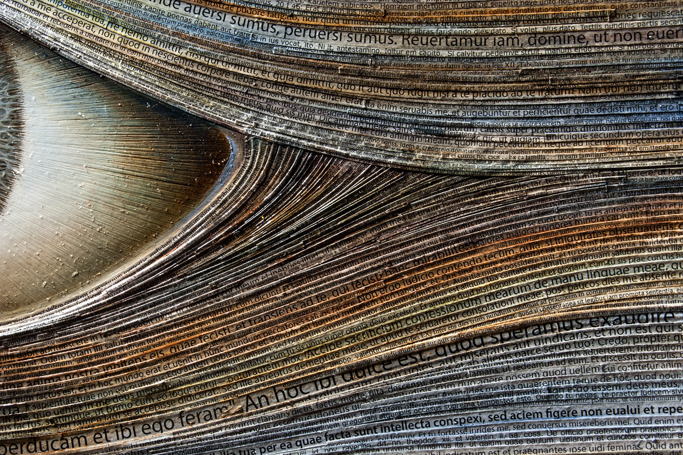 Salus opinion，Salus ，Salus，eye，Fine Arts，mapping，Artem Ogurtsov，