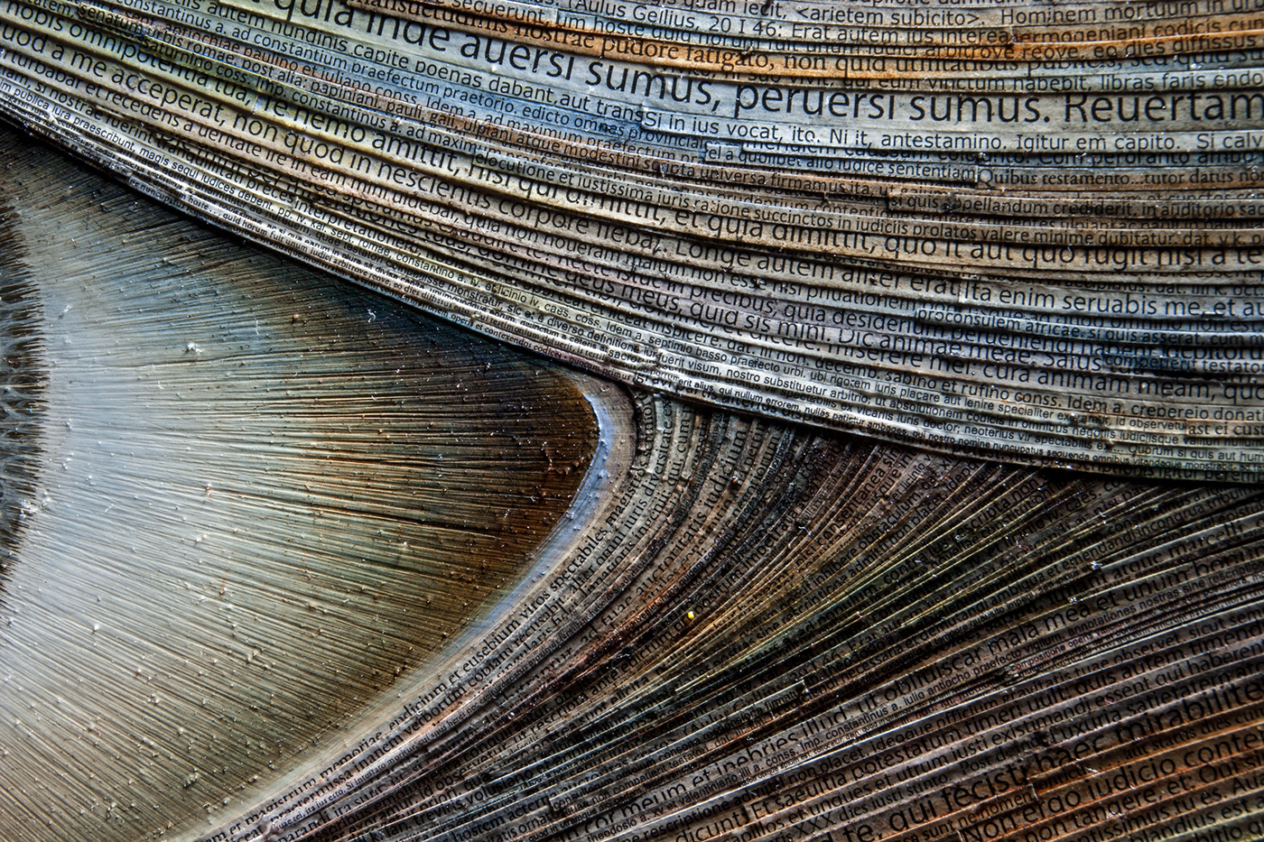 Salus opinion，Salus ，Salus，eye，Fine Arts，mapping，Artem Ogurtsov，