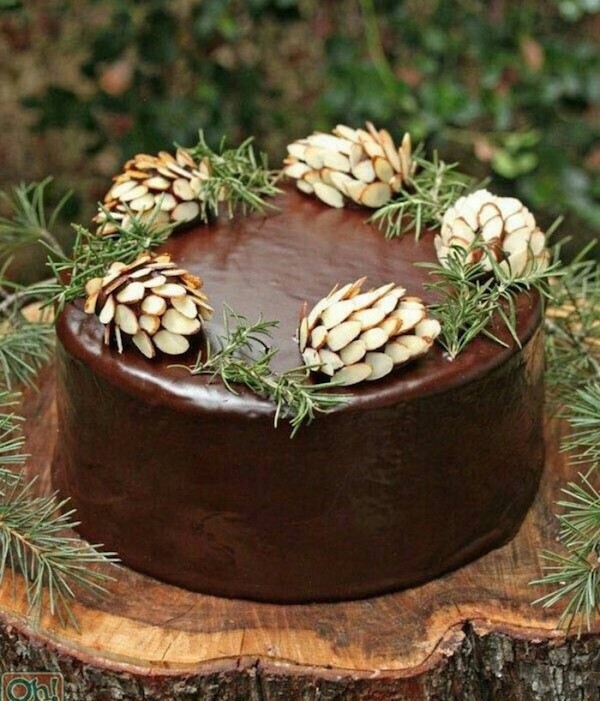 christmas，audi，IKEA，Cake，Bible，