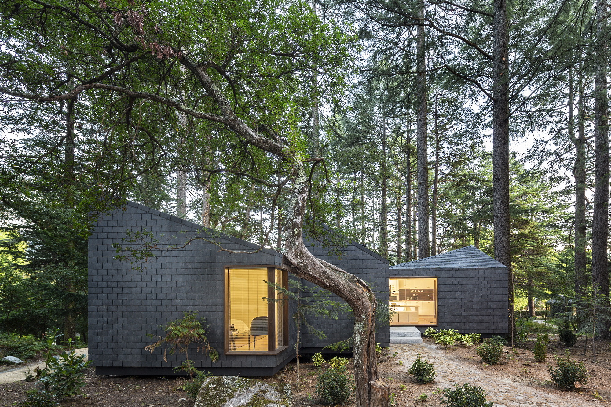 pedras salgadas,生态度假村,建筑,树屋