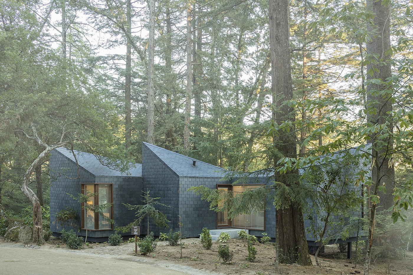 Salted Stones，Eco Resort ，Architecture，Tree House，