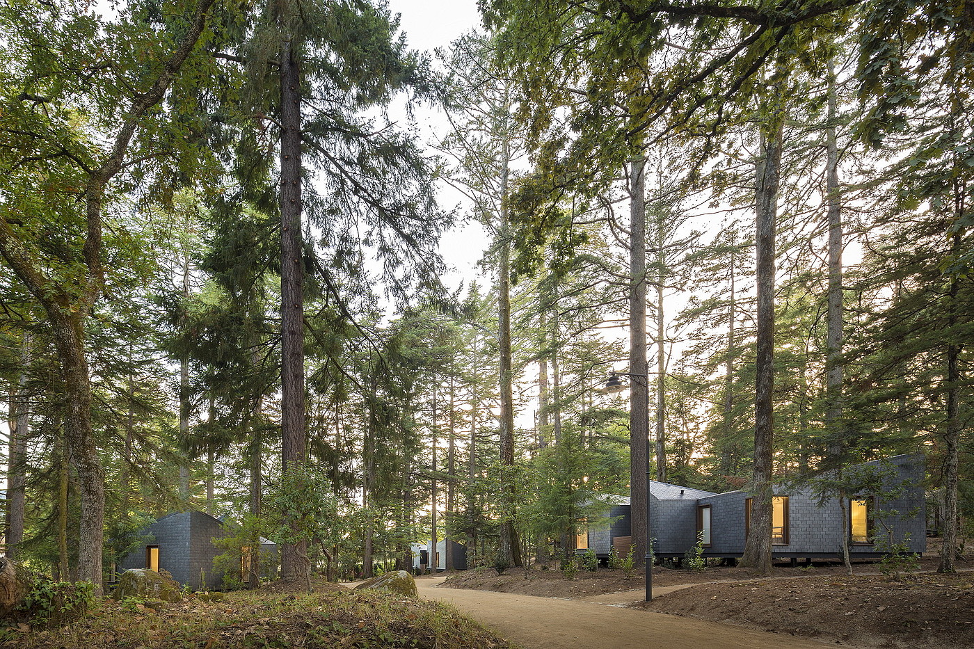 Salted Stones，Eco Resort ，Architecture，Tree House，