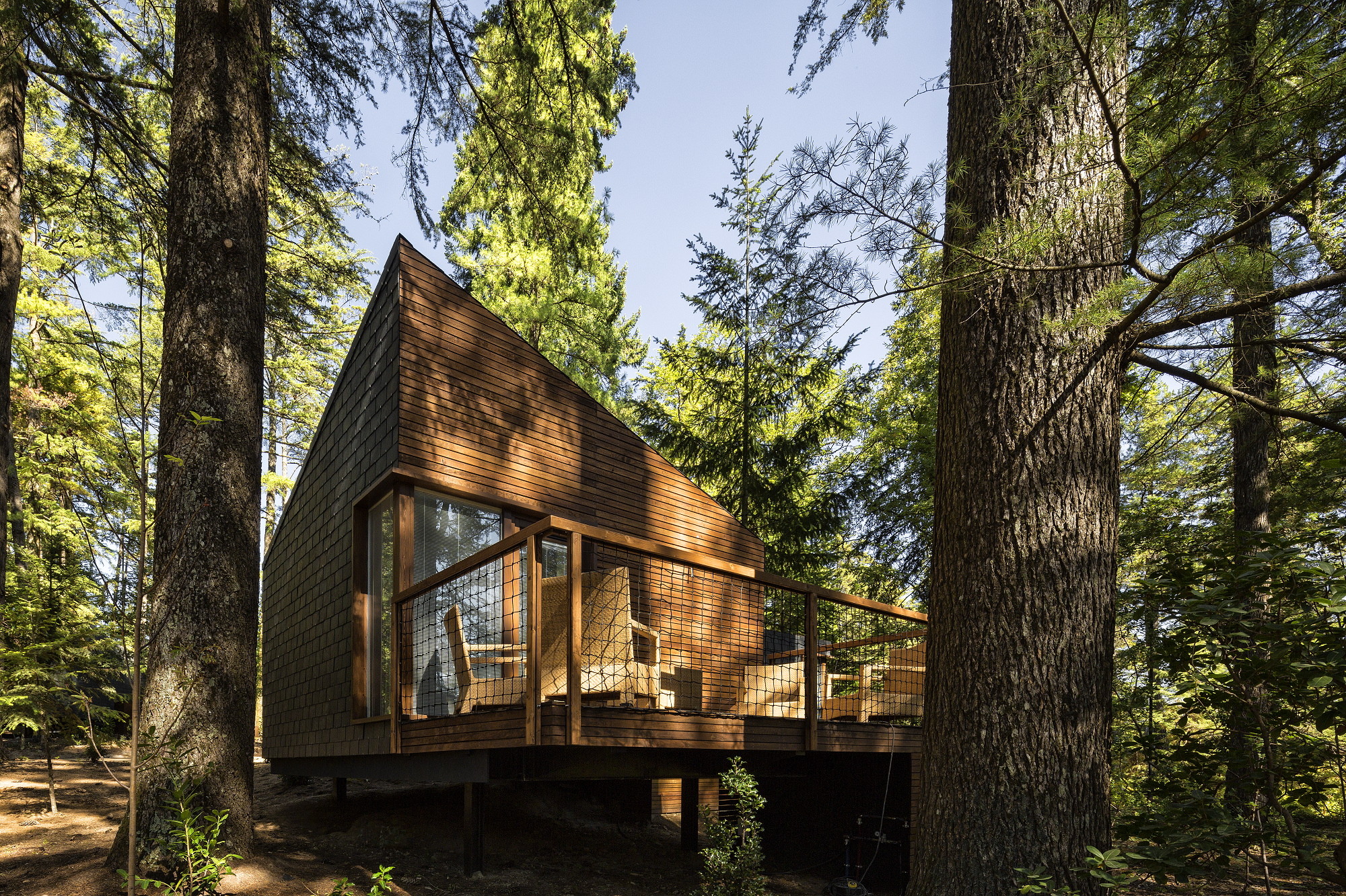 pedras salgadas,生态度假村,建筑,树屋