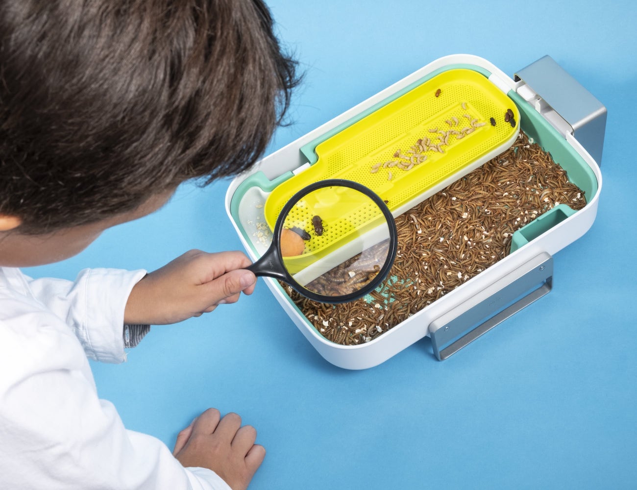 education，insect，equipment，Hive Explorer，adult，children，experiment，environment protection，