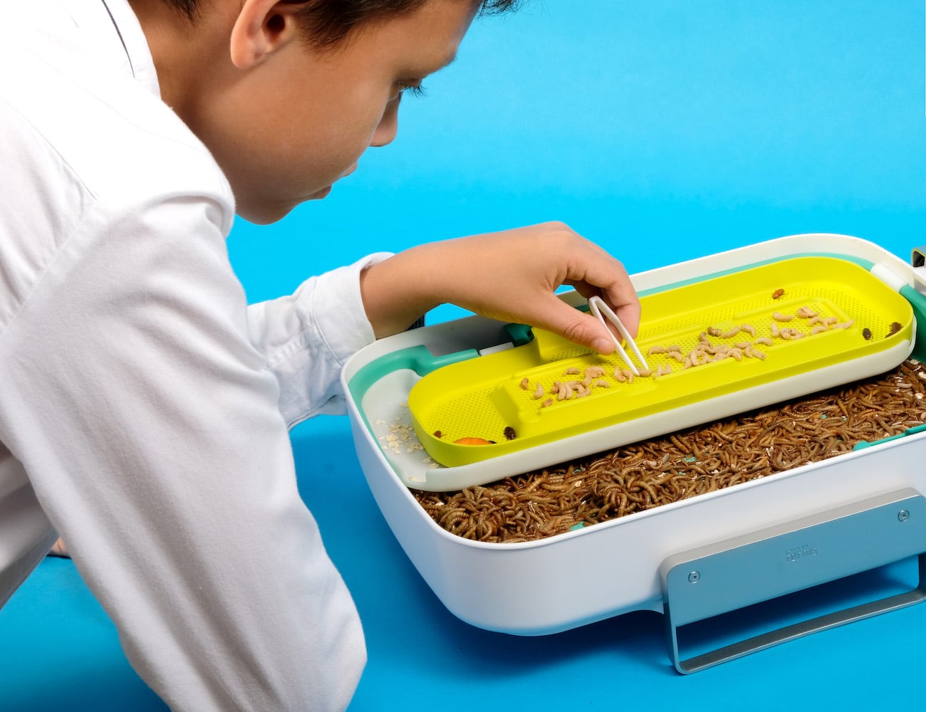 education，insect，equipment，Hive Explorer，adult，children，experiment，environment protection，