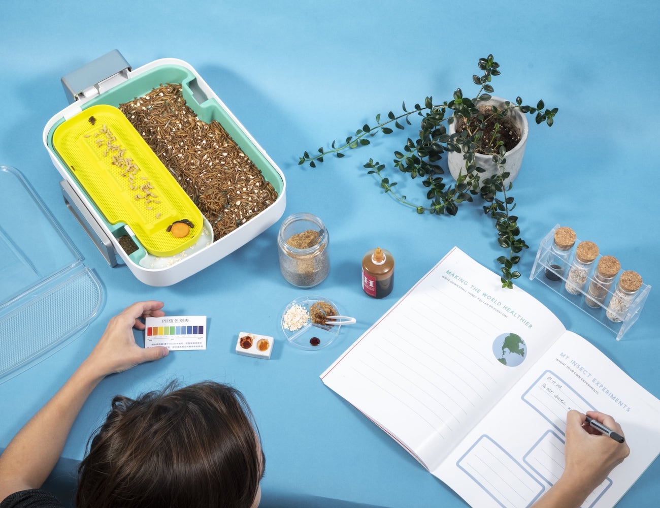 education，insect，equipment，Hive Explorer，adult，children，experiment，environment protection，