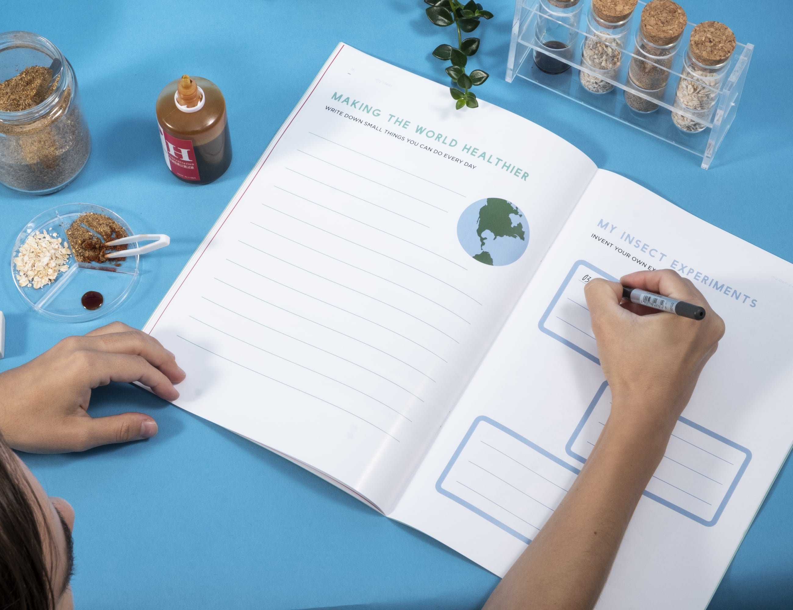 education，insect，equipment，Hive Explorer，adult，children，experiment，environment protection，