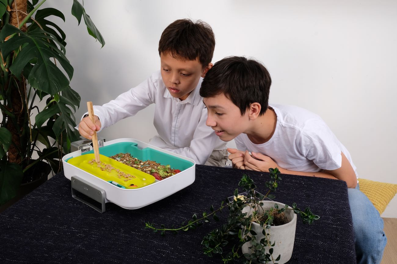 education，insect，equipment，Hive Explorer，adult，children，experiment，environment protection，