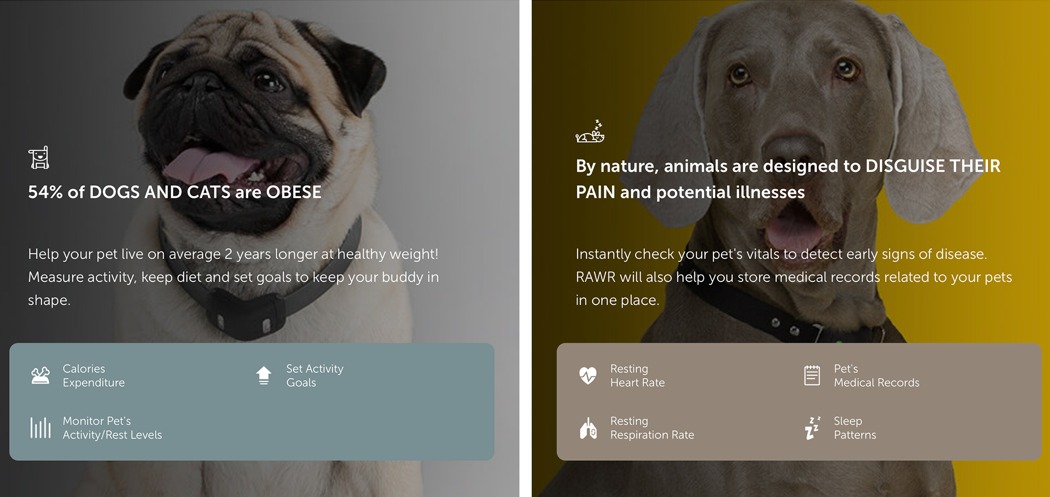 Pet Supplies & Pet，Pet collar，intelligence，RAWR，